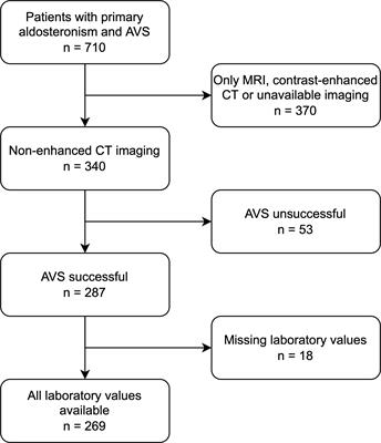 Frontiers | Integration Of Clinical Parameters And CT-based Radiomics ...